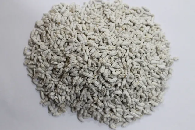 Madrasi Saunf - Chennai Saunf, 100g (Pack of 3)-2.webp